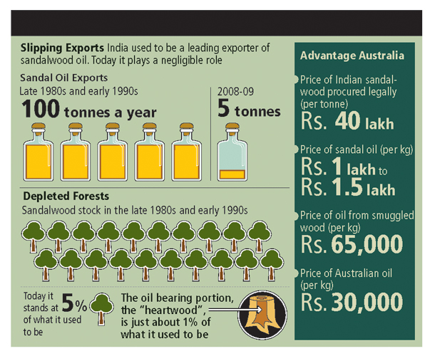 Indian Sandalwood Price Chart
