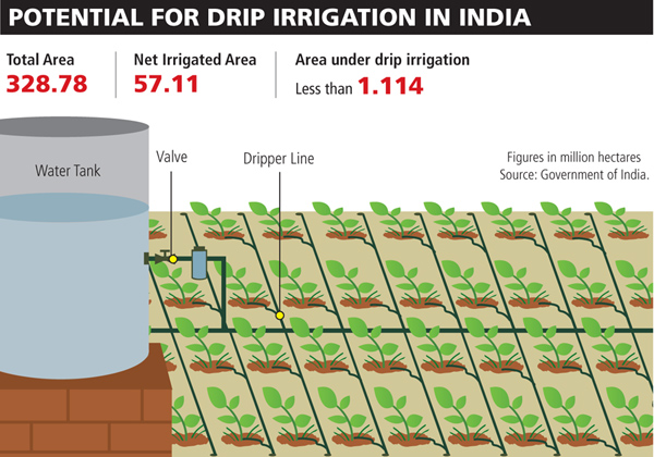 Irrigation in India
