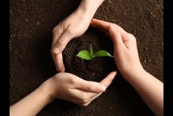 World-Soil-Day