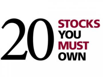 20 Stocks You Must Own