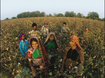 Fairtrade in India