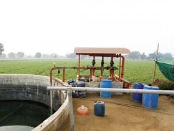The Indian Drip Irrigation Jugaad