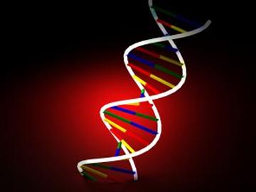Your Genes May Affect Your Financial Decisions