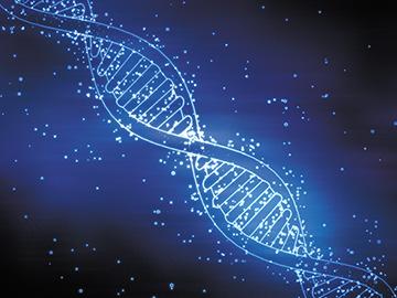 Strand Lifesciences' DNA Testing Plans