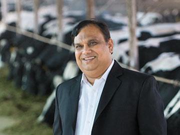 How Parag Milk Foods Got it Right with Cheese