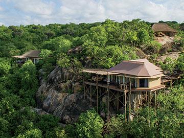 Tanzania's Mwiba Lodge: Where luxury and wildlife meet