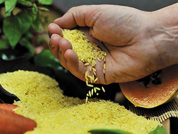 Can a Hungry World Say No to GM Crops and Still Have Food Security?