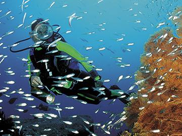 Eat, sleep, dive, repeat: The water world off Thailand