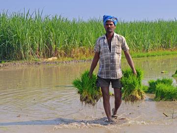Misaligned agriculture: A major source of India's water problems