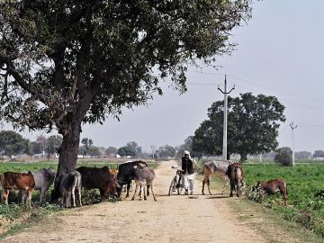 UP Poll Diary, Day 6: 2014 promises unfulfilled, hinterland faces fresh problems