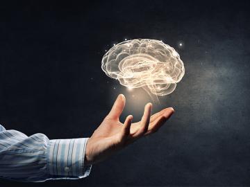 How our understanding of the brain impacts business