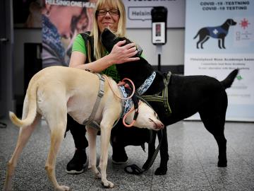 Can dogs sniff out the coronavirus?