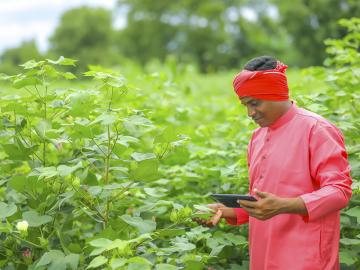 How an advice hotline is making farmers in India more productive