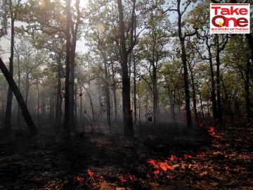 Can wildfires be prevented in a world dealing with climate change?