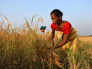 Empowered rural women as silent change agents: Learnings from the Lakhpati Kisan Program of Tata Trust