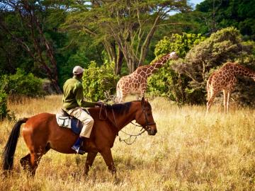 From a horseback safari in Kenya to ski touring UNESCO sites in Georgia, travel experiences to try in 2024