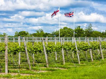 Swapping Bordeaux for Kent, climate change to shift wine regions: study