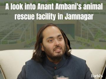 All you need to know about Anant Ambani's animal rescue facility in Jamnagar