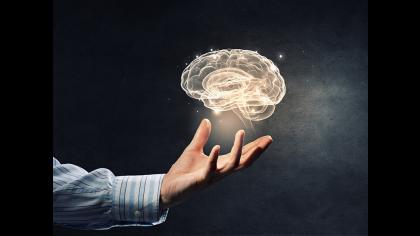 How our understanding of the brain impacts business