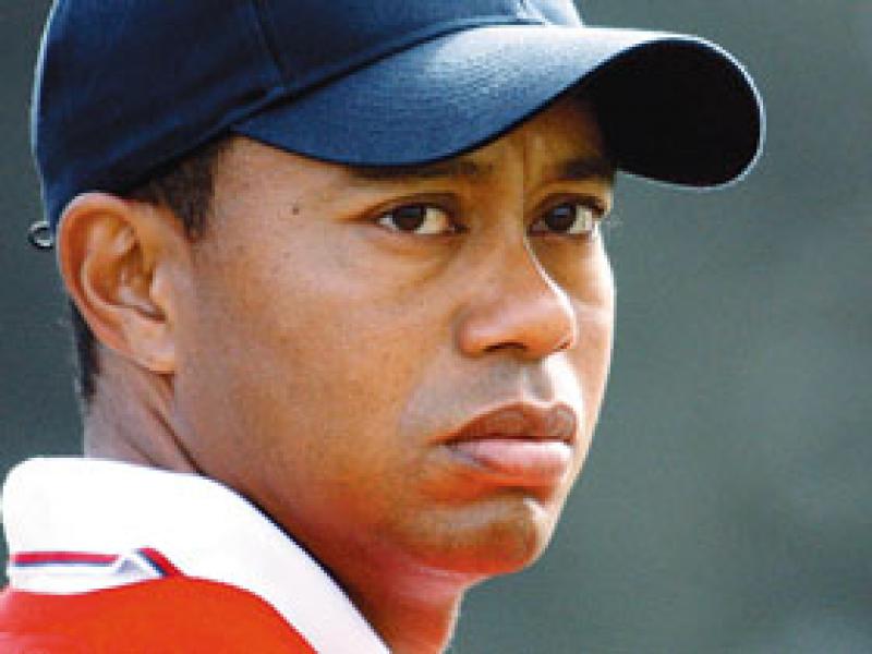 Brand Tiger Woods - Now Discounted