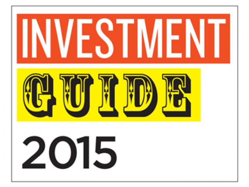 20 Quality stocks to invest in 2015