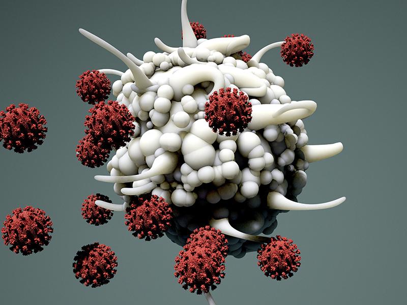 Beyond antibodies: A new test may better judge immunity to coronavirus