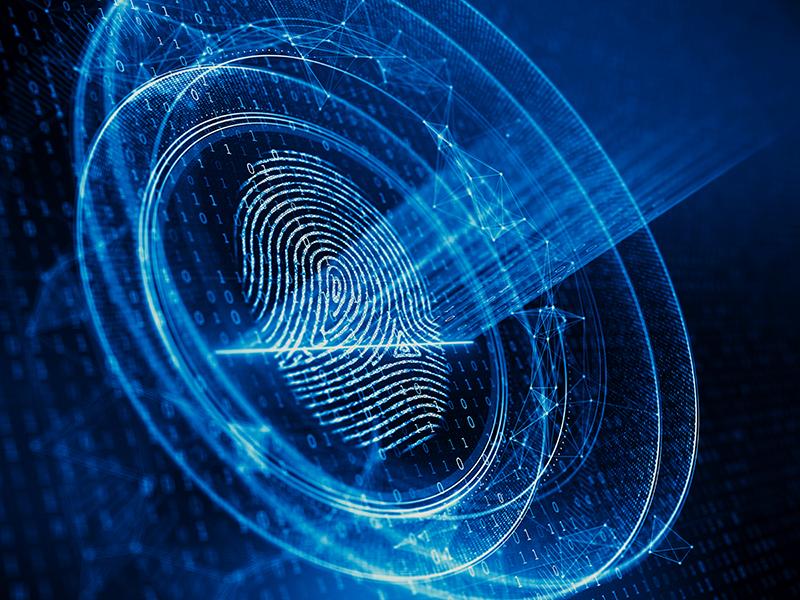 Identifying the potential in digital identity