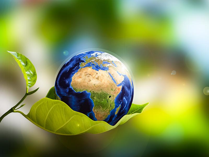 World Earth Day: 3 approaches to better invest in our planet