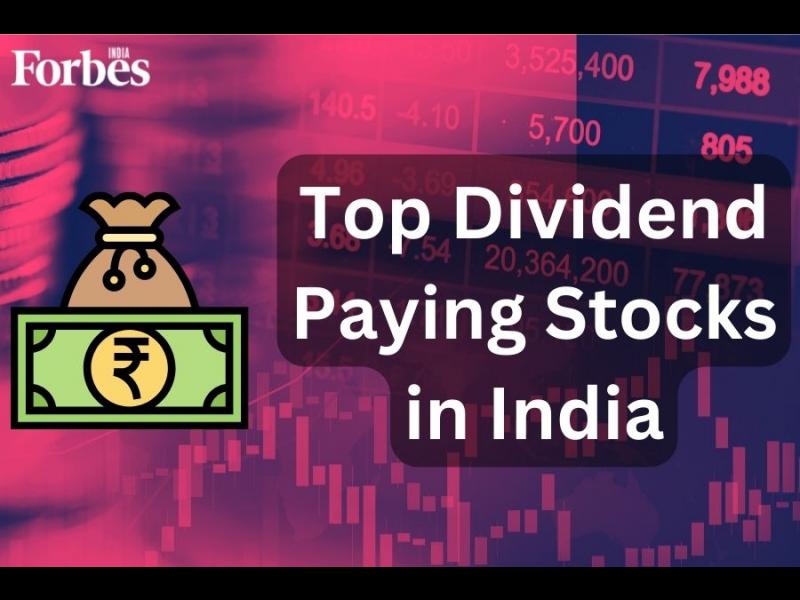 Top dividend paying stocks in India 2023: From Vedanta, Hindustan Zinc to Coal India and REC
