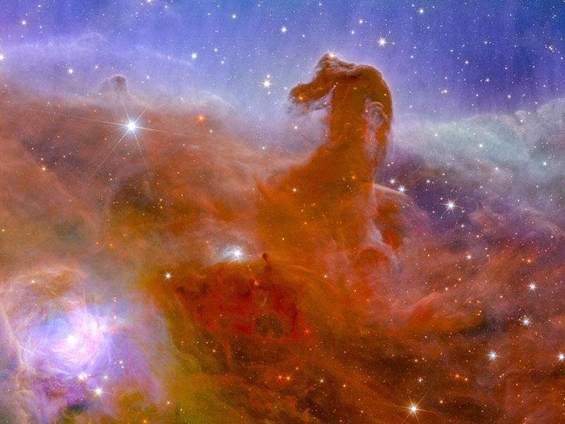 Photo of the day: Horsehead Nebula