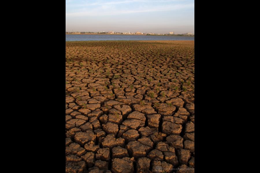 Parched-and-Dry