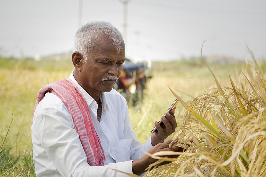 Empowering-Farmers