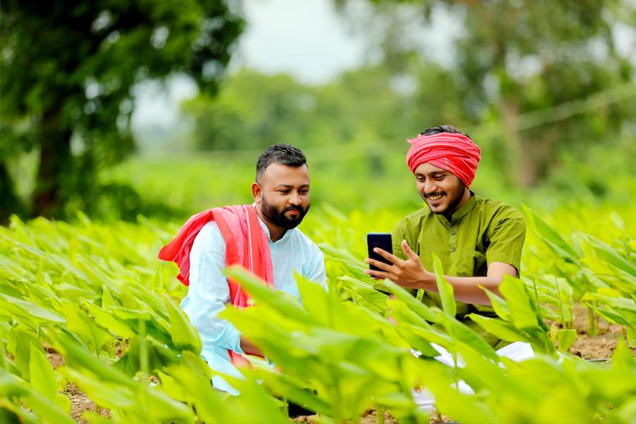 Skill-training-is-also-pivotal-to-support-farmers-in-diversifying-and-de-risking-their-income-streams