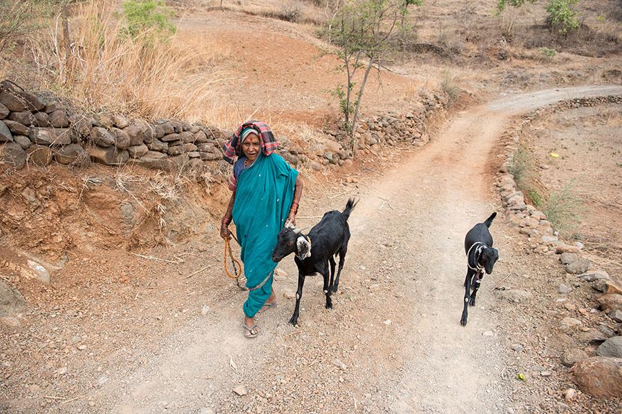 Diversifying-farm-income-shutterstock_1937633869_Sm