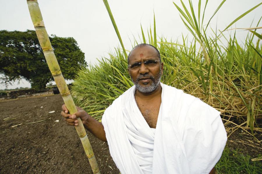 How did Gujarat Become a Farming Paradise?