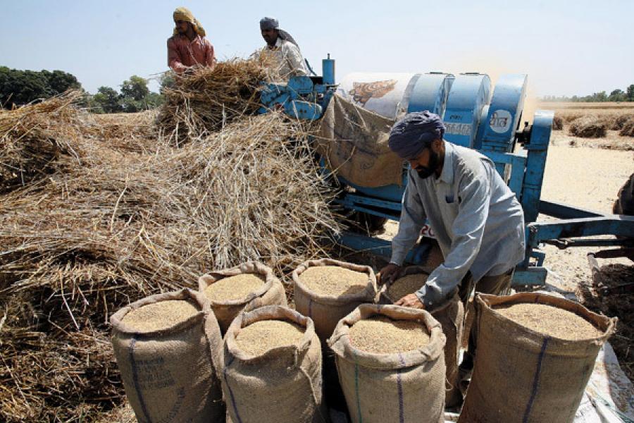A Problem of Plenty: India's Wheat Surplus