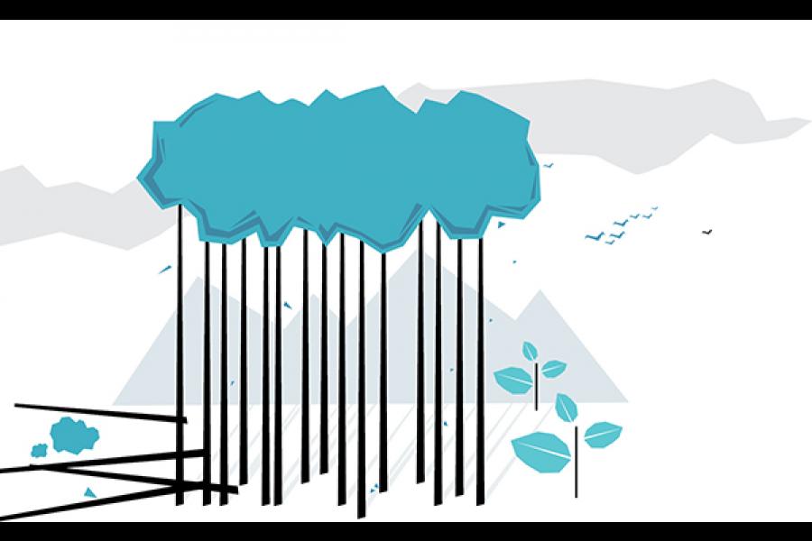 Measuring the Global Forest Cover