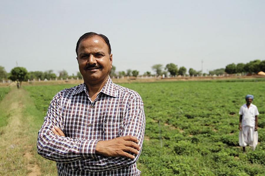 The Potato Farming Success of Gujarat's Banaskantha District