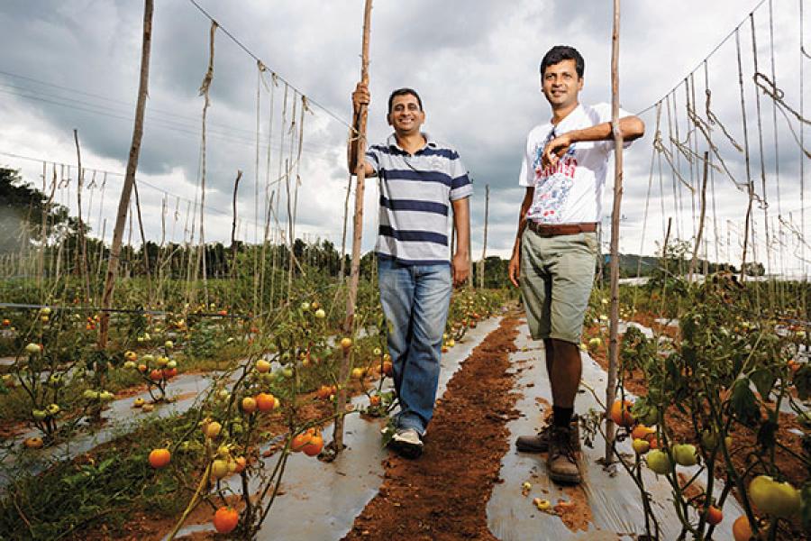 FirstAgro: Growing Zero-Pesticide Crops