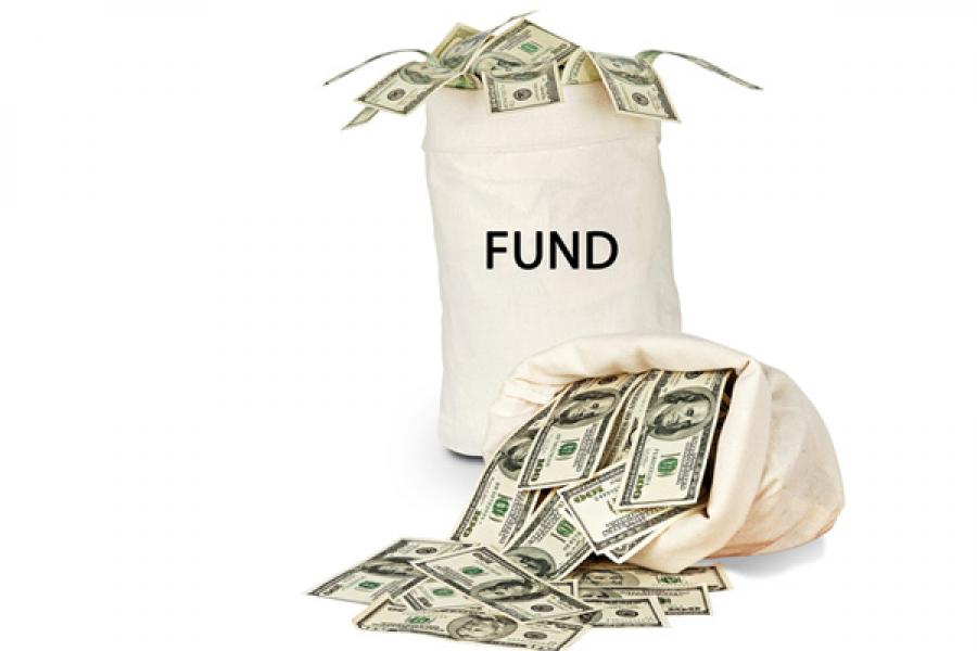 PSUs Dominated Fund Raising in 2013