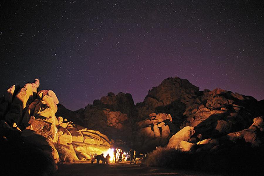 New Year's Eve at the Joshua Tree National Park