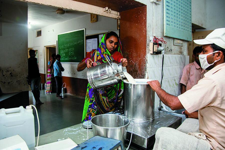 Cow to consumer: Beyond profit for Gujarat Cooperative Milk Marketing Federation