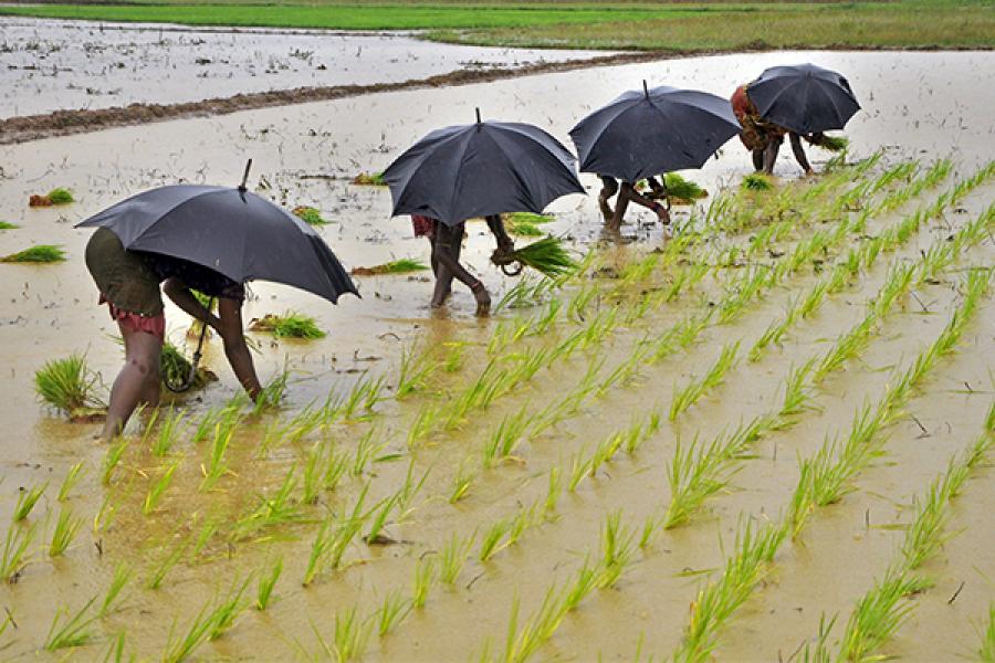Improved monsoon could add 50 bps to GDP: BNP Paribas Research
