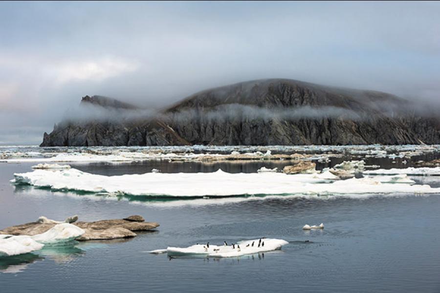 A journey to the end of the world: The Arctic Sea's Wrangel Island