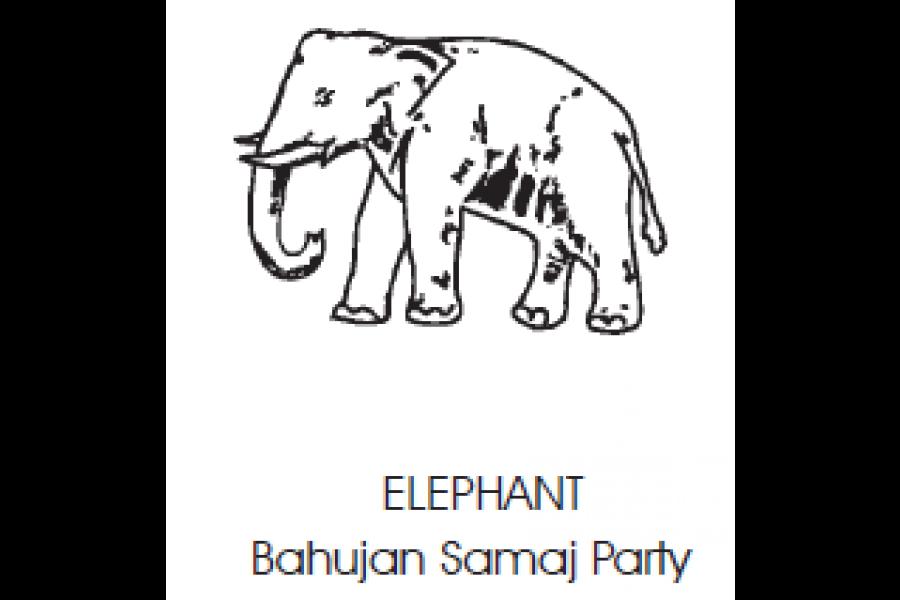 ECI-elephant