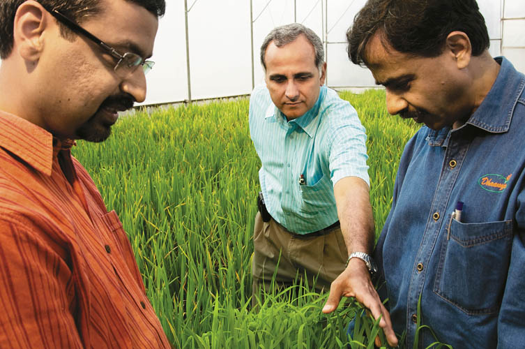 BIOTECH TRIO: Gautham Nadig, KK Naryanan and Ravi Krishna of Metalhelix hope to engineer a cotton hybrid that can grow faster 