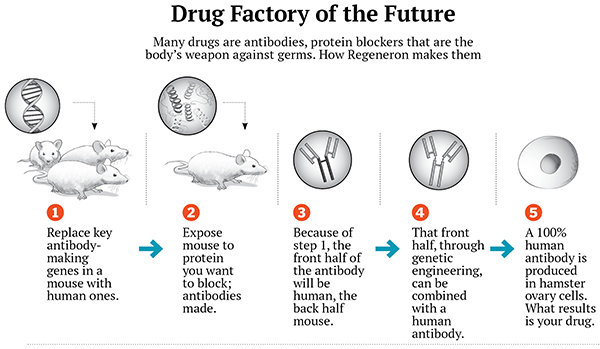 Regeron Pharmaceuticals is Changing Drug Discovery