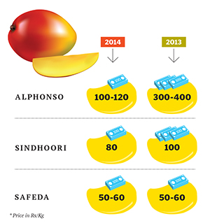 Mango Prices Fall