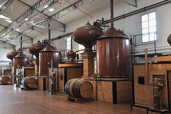 Cognac: Twice distilled to perfection