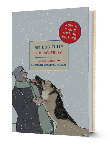 The Myriad lives of a literary dog